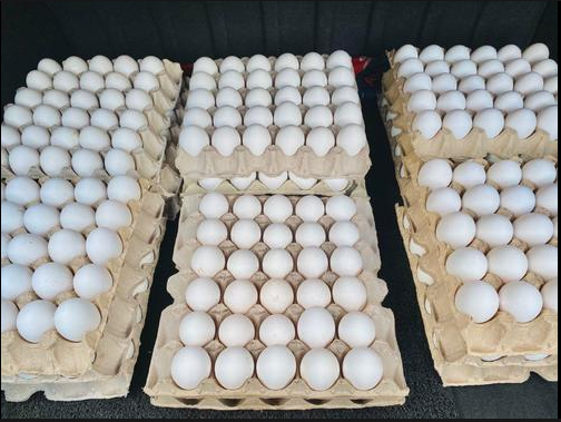 FRESH CHICKEN EGGS